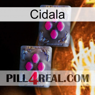 Cidala 01